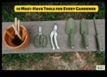 Καλλιεργήστε το Joy 10 εργαλεία κήπου που πρέπει να έχετε για κάθε λάτρη