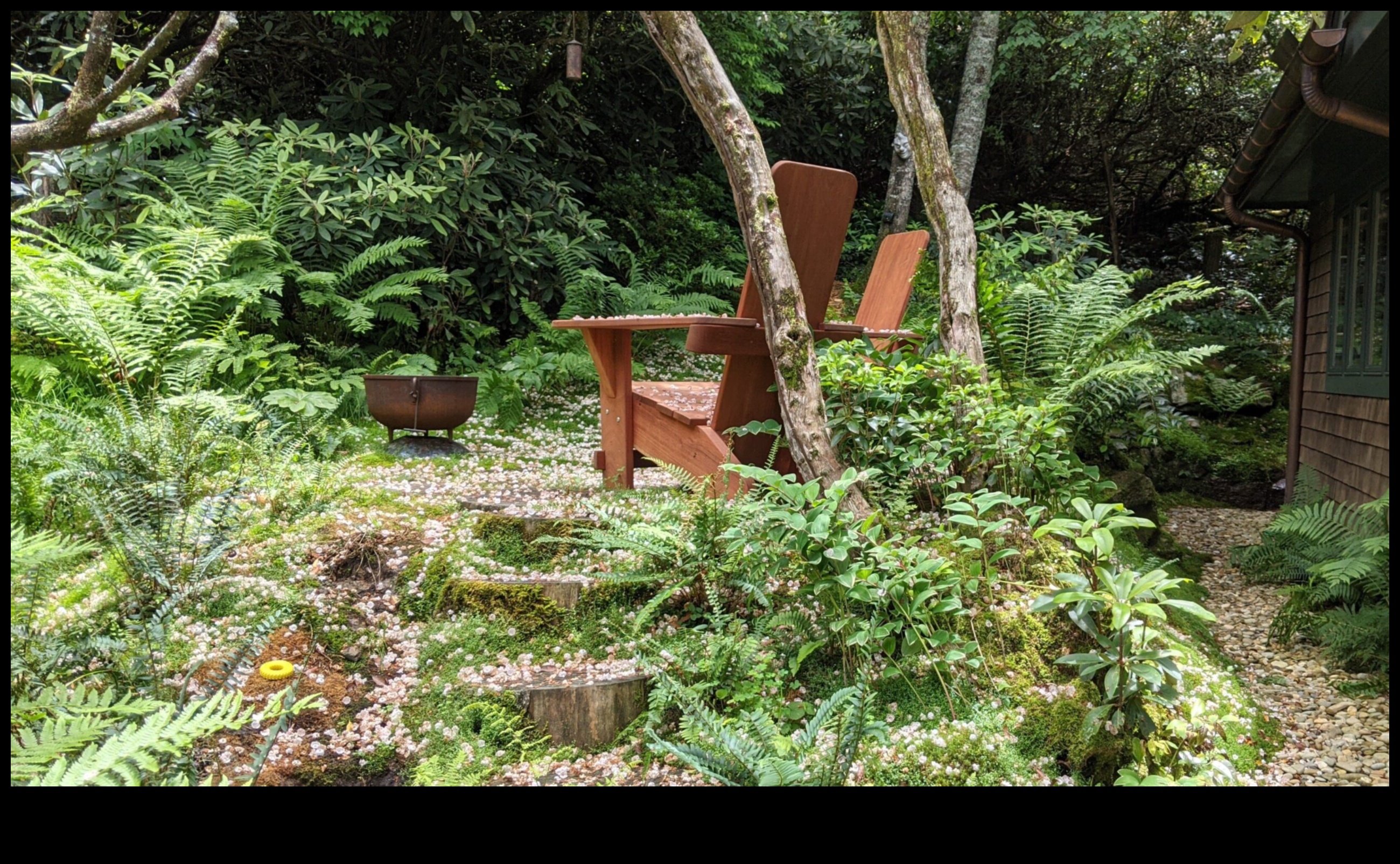 Εργαστήριο Κήπου Όαση Ένα μέρος για να καλλιεργήσετε δεξιότητες και ομορφιά 4 Εργαστήριο Κήπου Όαση: Καλλιέργεια δεξιοτήτων και ομορφιάς