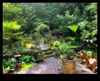 Εργαστήριο Κήπου Όαση Ένα μέρος για να καλλιεργήσετε δεξιότητες και ομορφιά