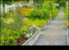 Bountiful Blooms Πώς να επιτύχετε έναν όμορφο κήπο με εξειδικευμένη συντήρηση