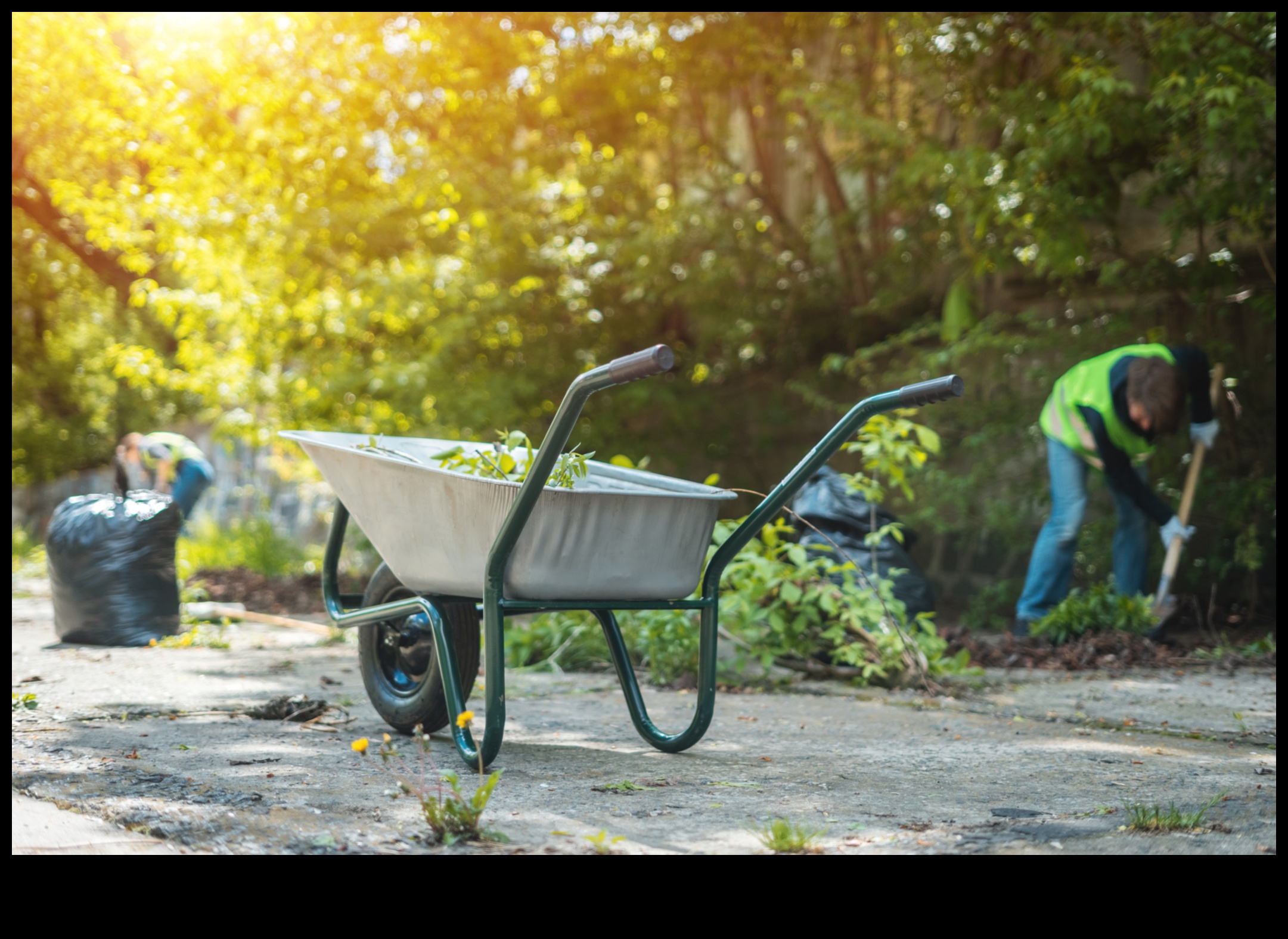 Sculpt Your Oasis: Ανακαλύψτε την κορυφή του εξοπλισμού κήπου