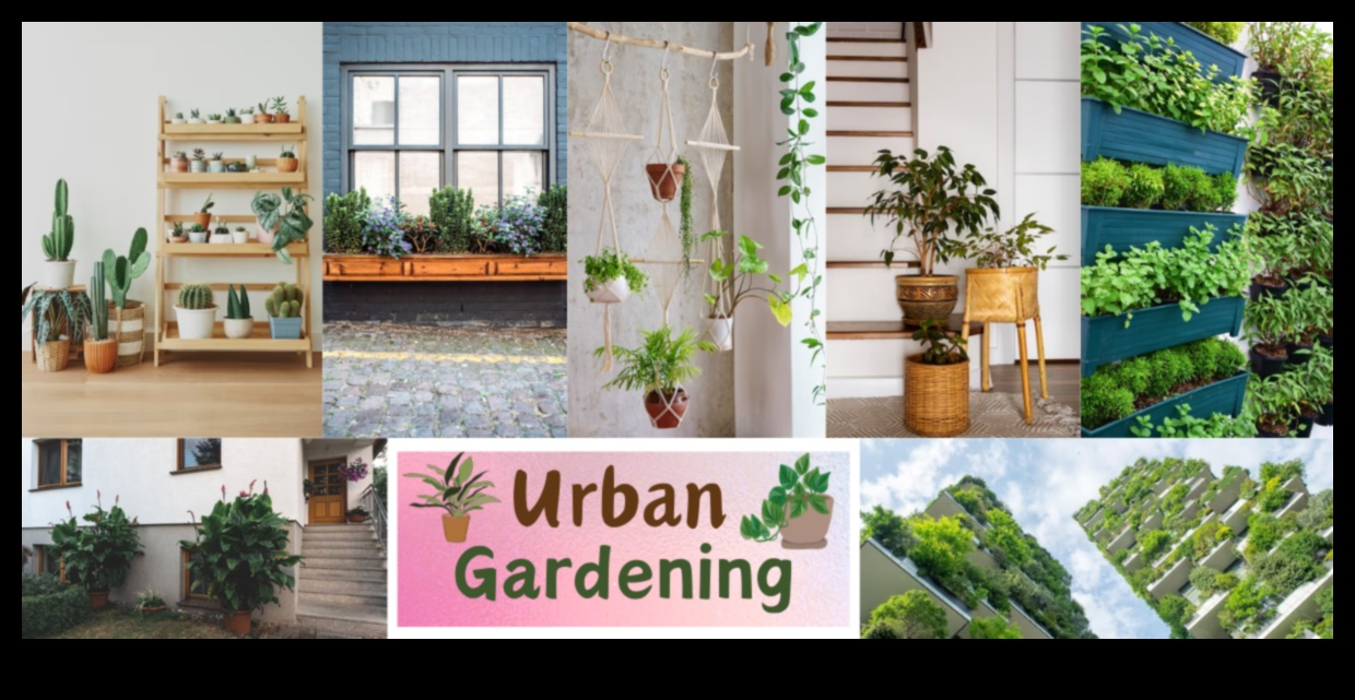 Urban Greenery Inside: Exploring the World of Indoor Gardens