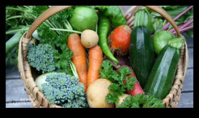 Στρατηγικές απόδειξης παρασίτων: Οδηγός κηπουρού για την άμυνα του κήπου