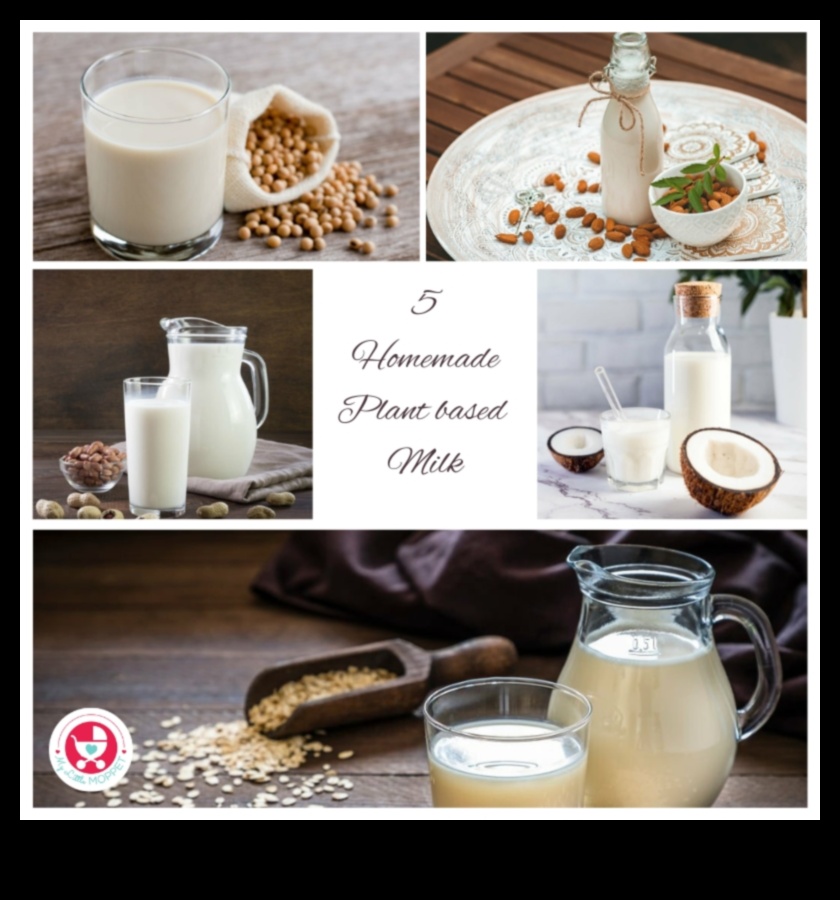 Oat Sensations A Guide to Crafting Irresistible Plant-based Elixirs 4 Oat Sensations: Ένας οδηγός για τη δημιουργία ακαταμάχητων φυτικών ελιξιρίων