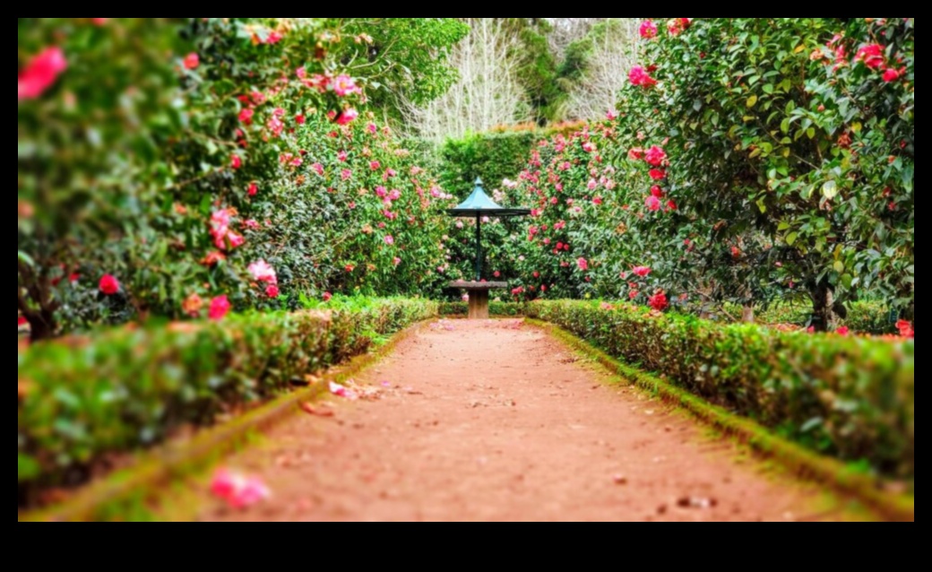 Η Παλέτα της Φύσης 5 Τρόποι για να Ανυψώσετε τον Κήπο σας με Καλλιτεχνική Έκφραση 2 Nature's Palette: Ανυψώστε τον κήπο σας με καλλιτεχνική έκφραση