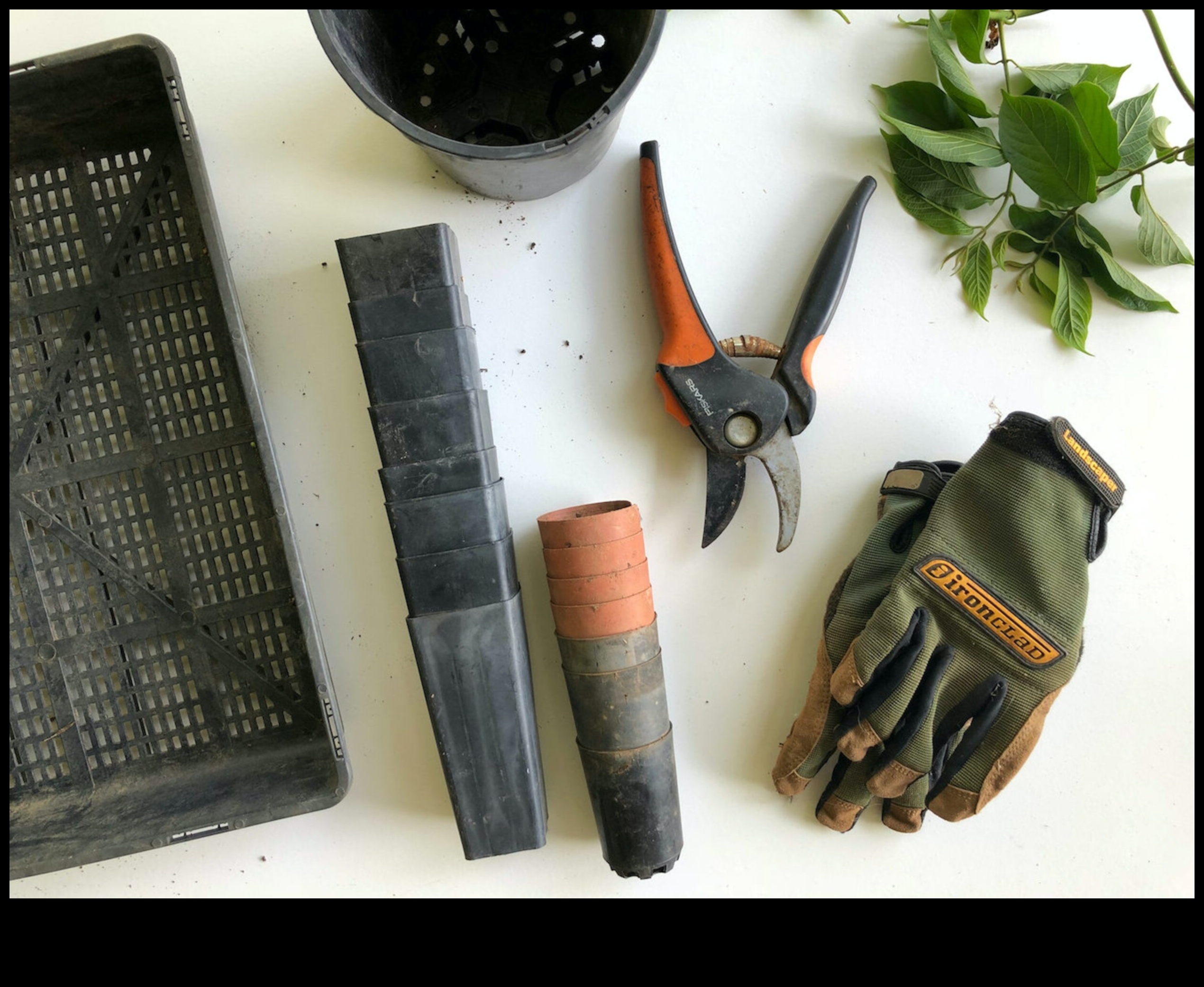 Gardeners' Arsenal A Bloom-Boosting Collection of Tools 2 Gardeners' Arsenal: Κορυφαία εργαλεία για Blooms