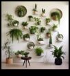 Green Oasis Crafting DIY Wonders for Your Garden Bliss