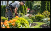 Trim, Tend, Thrive The Ultimate Guide to Upgrading Your Garden Toolkit