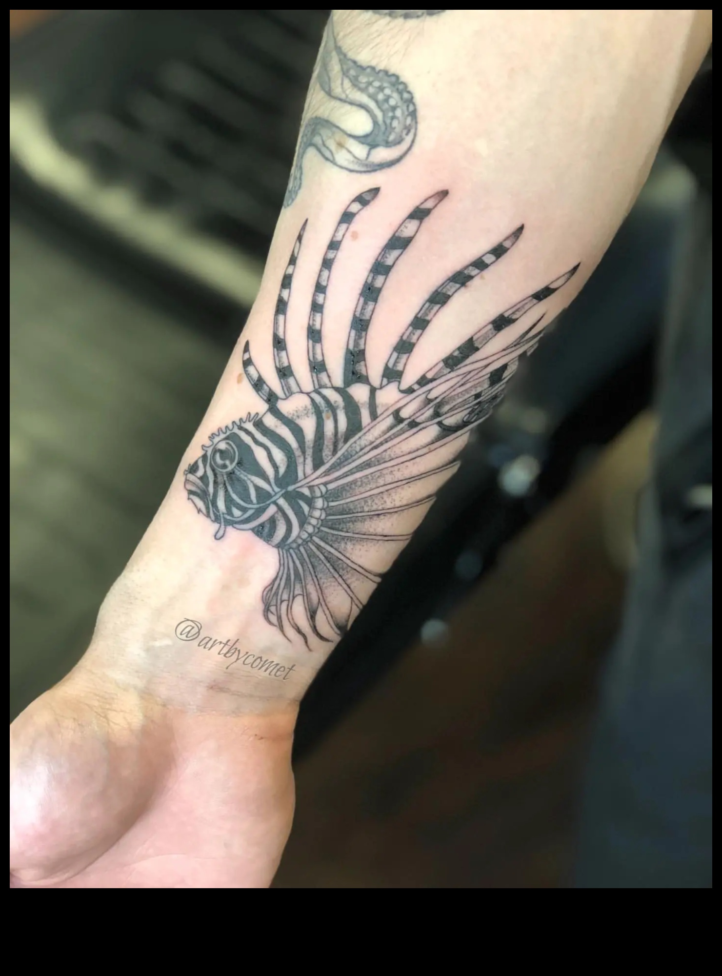 Τα πτερύγια και τα φτερά βουτάνε στον κόσμο των τατουάζ υδρόβιων ζώων 2 Πτερύγια και φτερά: Βουτήξτε σε περιπέτειες τατουάζ υδρόβιων ζώων